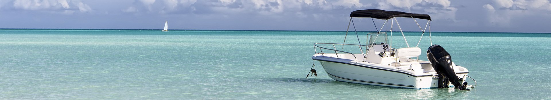 Professionelle BÅDPLEJEPRODUKTER & UDSTYR