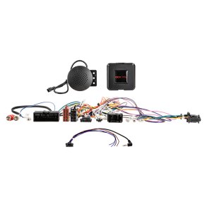 Ratbetj. Ford  24Pin/display Multilead