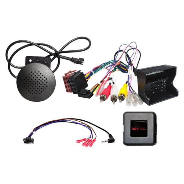 Ratinterface Citro�n/Peugeot 40Pin Quadlock PDC